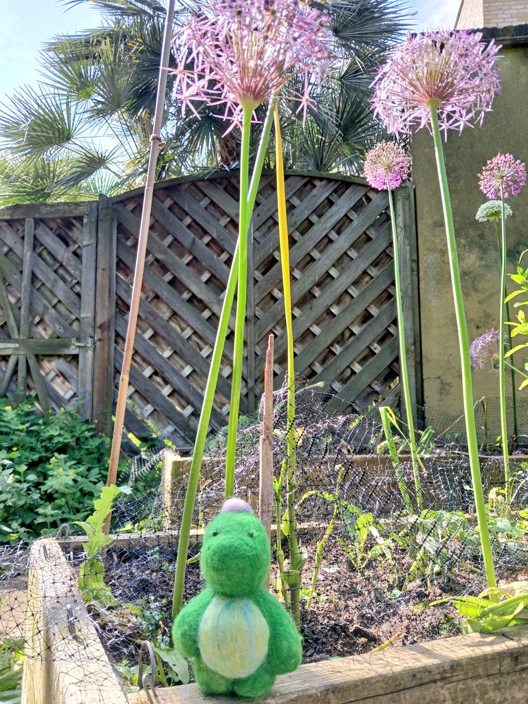 Princeton tweet media