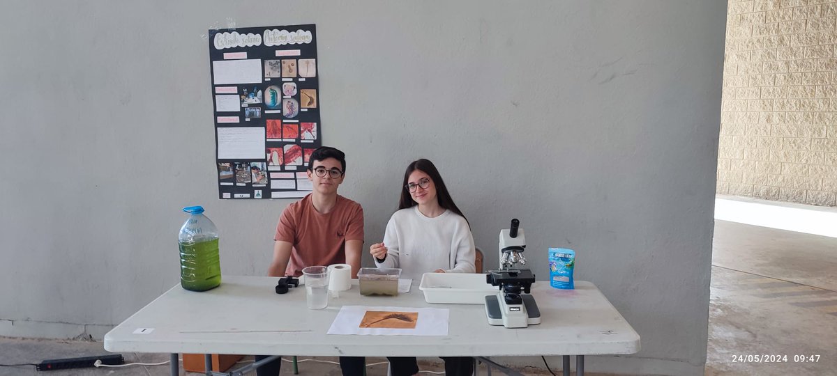 BioGeoClaraC's tweet photo. El departament de Biologia i Geologia està "Clara-ment" orgullós del treball del nostre alumnat!!!
Ahí van les propostes: "Estudi sobre Artemia salina" del Taller d'aprofondiment en Biologia i Geologia 4t d'ESO. @BiologiquesUV @MuseuHN @CACiencies @orbitalaika_tve https://t.co/QbcazOD0m5