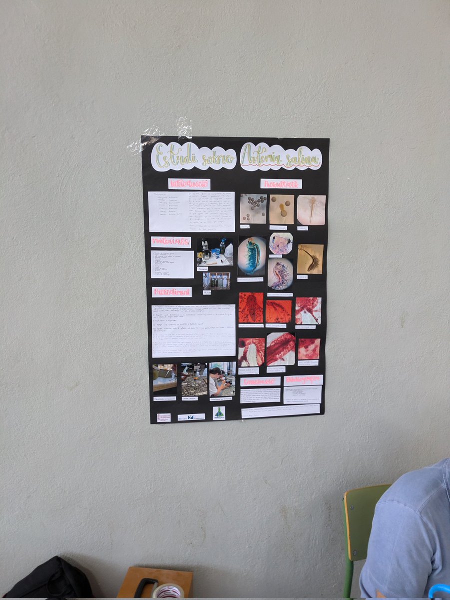 BioGeoClaraC's tweet photo. El departament de Biologia i Geologia està "Clara-ment" orgullós del treball del nostre alumnat!!!
Ahí van les propostes: "Estudi sobre Artemia salina" del Taller d'aprofondiment en Biologia i Geologia 4t d'ESO. @BiologiquesUV @MuseuHN @CACiencies @orbitalaika_tve https://t.co/QbcazOD0m5