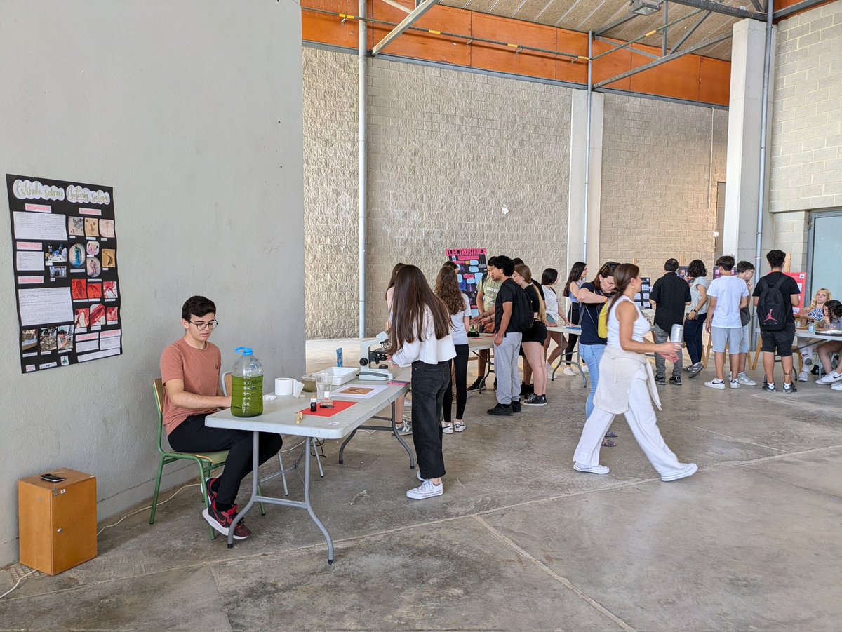 BioGeoClaraC's tweet photo. El departament de Biologia i Geologia està "Clara-ment" orgullós del treball del nostre alumnat!!!
Ahí van les propostes: "Estudi sobre Artemia salina" del Taller d'aprofondiment en Biologia i Geologia 4t d'ESO. @BiologiquesUV @MuseuHN @CACiencies @orbitalaika_tve https://t.co/QbcazOD0m5