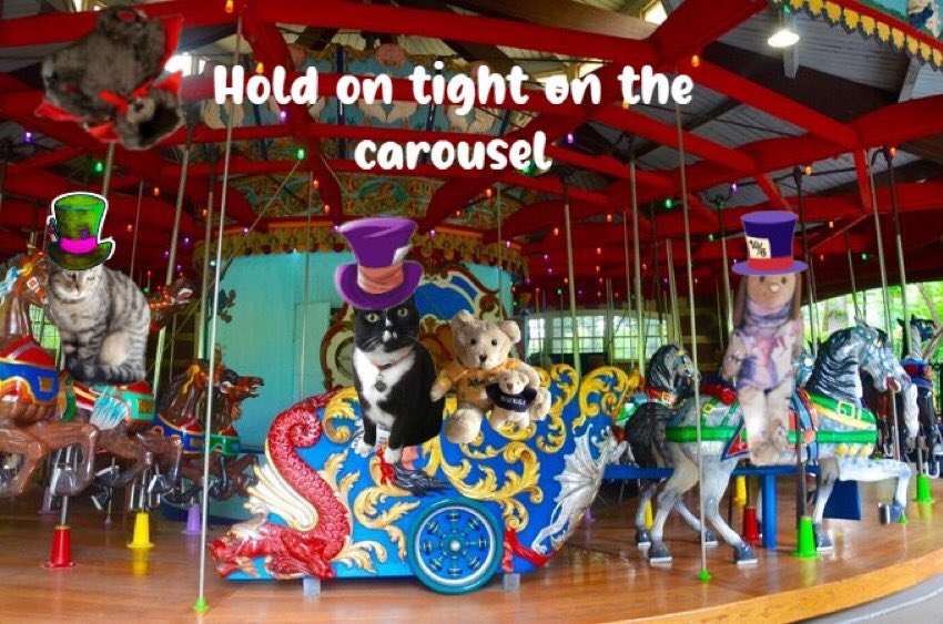 Better hold on to da carousel 🎠, dont wanna fall off #Furrytails