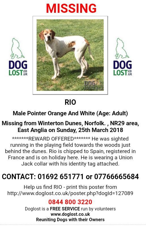 rosiedoc666's tweet photo. #StolenDogHour
RIO LOST ON HIS LAST RUN OVER THE #Dunes WITH OTHER DOGS WHO RETURNED
25/3/18 #Winterton #Norfolk #NR29
Male #Pointer orange & white ADULT
https://t.co/BvPNKZsZlF https://t.co/e5ulCPw0pl