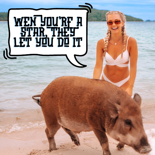 grantmichaels's tweet photo. @yourfriendSOMMI You shouldn't always have to buy top. Come join us early in $SWP =)

By this time next year we'll all be swimming with pigs!

0x63642c14D3553789C1E59b13a0981C29b4E88C42 https://t.co/XqAYhcxt0h