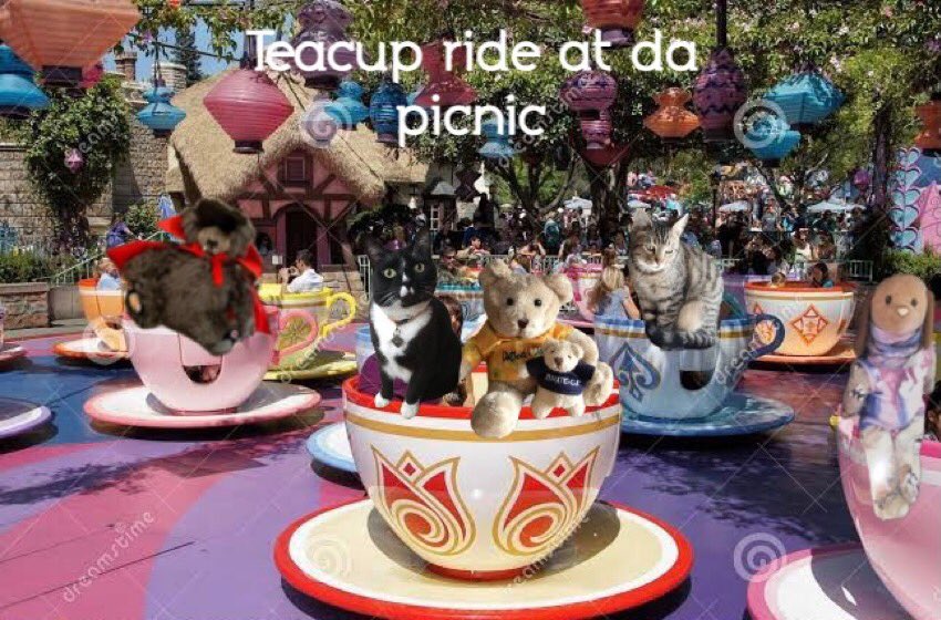 We on da tea 🫖 cup ride now and I think 🤔 i getting dizzy 🥴 now #Furrytails