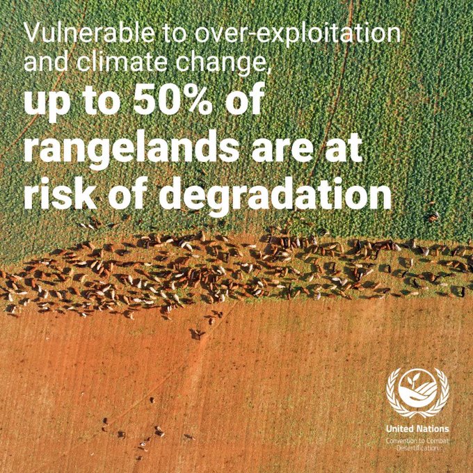 A new @UNCCD report reveals the extent of the demise of rangelands which threatens well-being of billions.

The solutions include restoration, better management & protection of pastoralism. #OurLandOur Future info ahead of #WorldEnvironmentDay: unccd.int/news-stories/p…