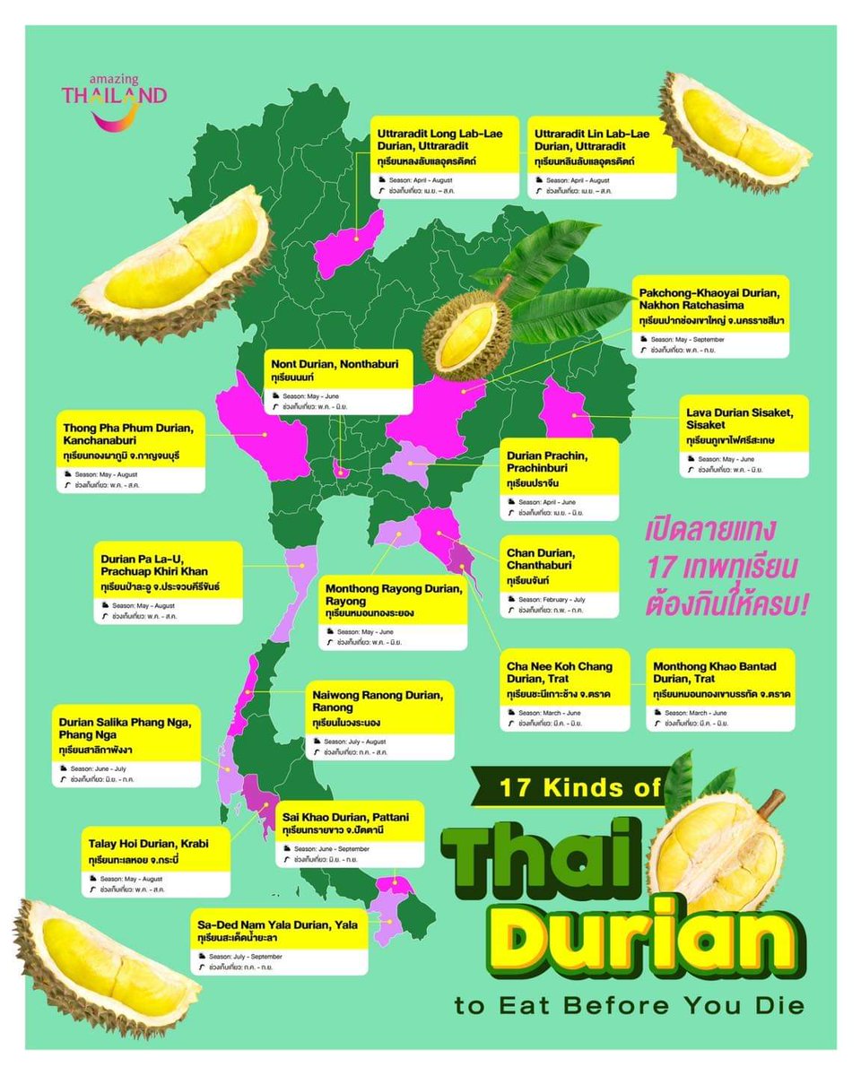 Mmmm Durian