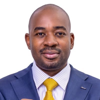 Just a like and repost for this man. Welcome back, H.E. President @nelsonchamisa