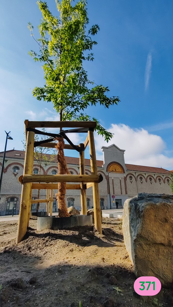 Tegenover Be-Here was het al verharding wat de klok sloeg. Stad Brussel brak dit voorjaar de stenen uit en zorgt voor een groene zuurstofinjectie. Fijn werk @ZJellab @BartDhondt. 💚 #BrusselVerandert