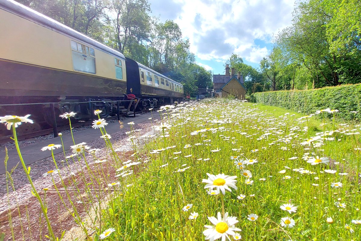 Experience summer at Coalport Station! ☀️ Book now for June and explore our special offers: 🚂🚃🚃 

coalportstation.com/special-offers. Reconnect with loved ones amidst Shropshire's beauty, rain or shine! ☔️🌈 

#CoalportStation #Shropshire #FamilyHolidayUK #UniqueStays #ExploreUK #Offers