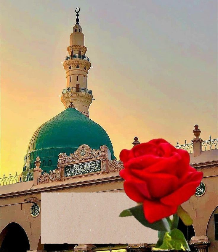 السلام وعلیکم 🍂 صبح بخیر 🍁 حضرت ابن عمر ؓ بیان کرتے ہیں ، رسول اللہ ﷺ نے فرمایا :’’ تم میں سے کوئی شخص بھی اپنے بائیں ہاتھ سے نہ کھائے اور نہ اس کے ساتھ پیئے ، کیونکہ شیطان اپنے بائیں ہاتھ کے ساتھ کھاتا پیتا ہے ۔‘‘