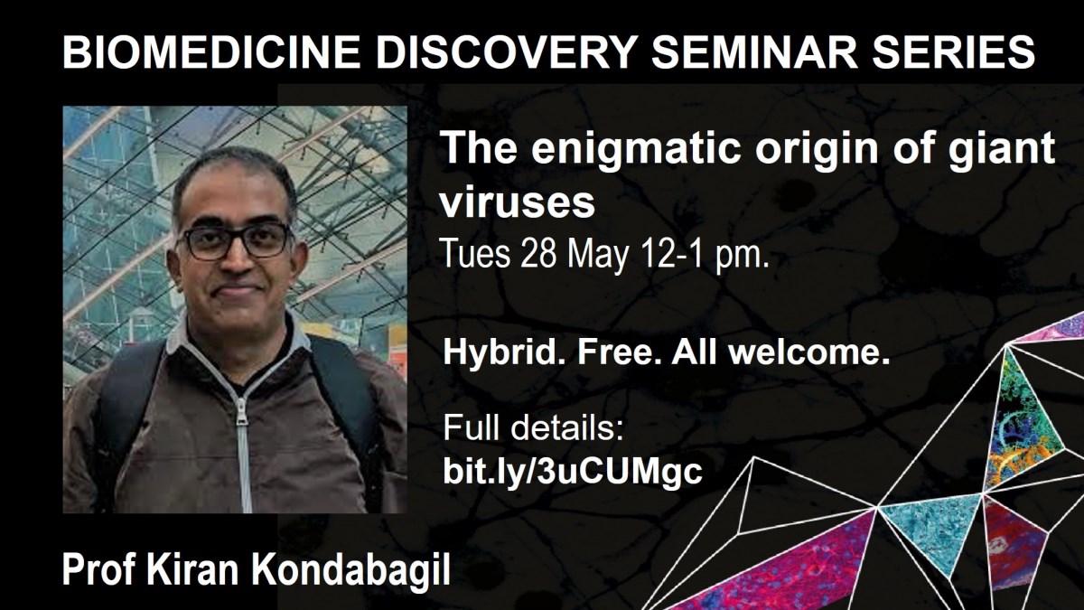 ON TOMORROW Don't miss our next Seminar.
𝗦𝗽𝗲𝗮𝗸𝗲𝗿: Prof @KiranKondabagil @iitbombay
𝗧𝗼𝗽𝗶𝗰: The enigmatic origin of giant viruses
𝗪𝗵𝗲𝗻: Tue 28 May 2024 12-1pm
𝗛𝗼𝘀𝘁: @laurenammurray @coulibalylab
Venue: Hybrid. Zoom details on our calendar bit.ly/3uCUMgc