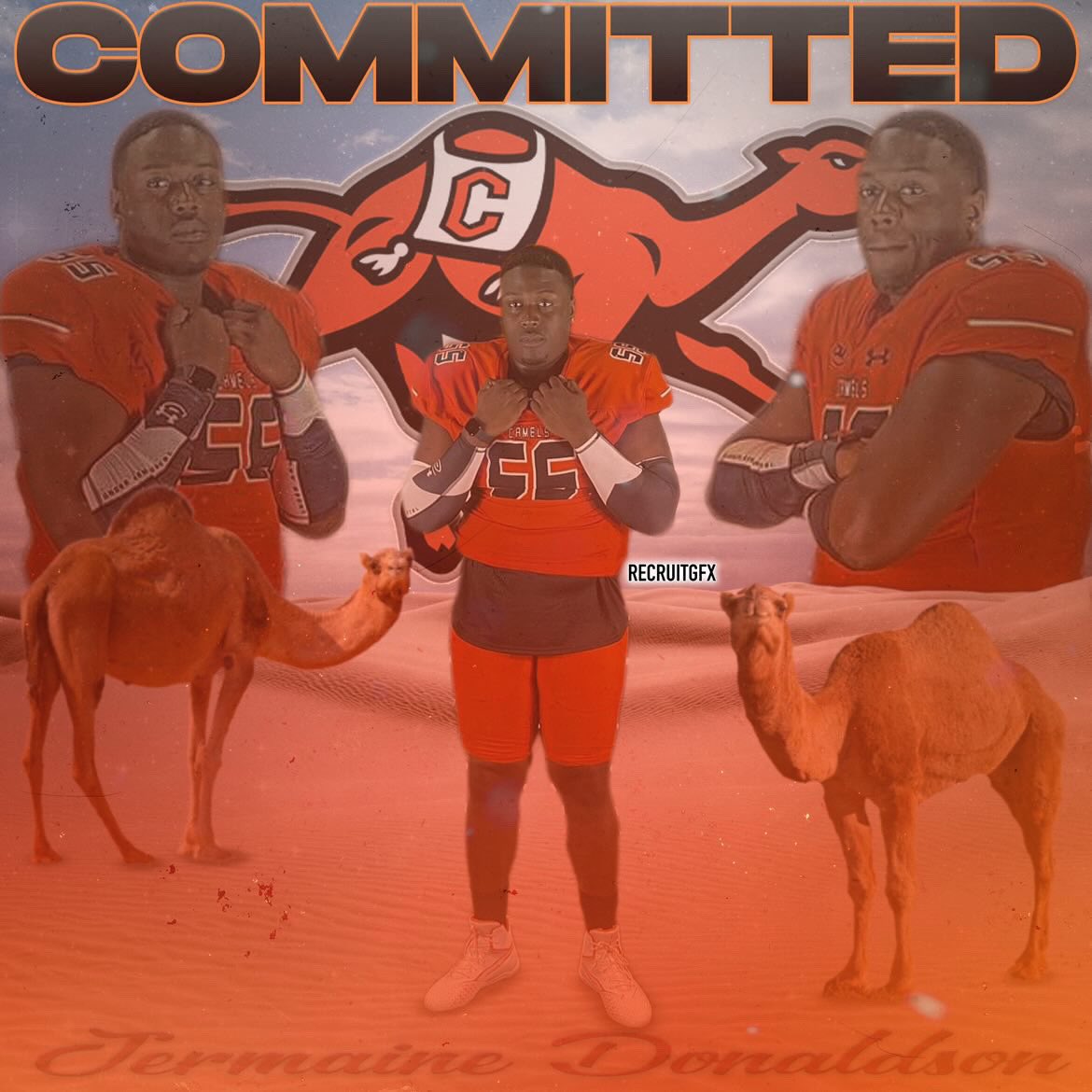 #rollhumps🐪