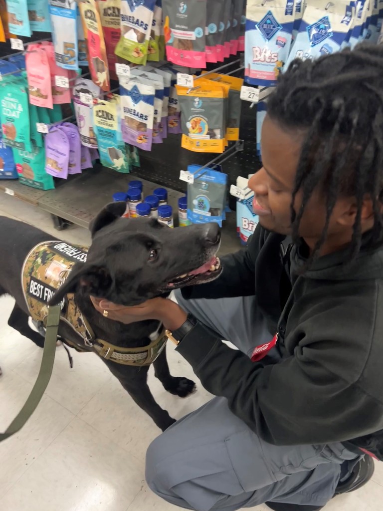 We wanted to thank you and your team for taking such great care of Drake this past year. We took him to the store to spoil him and he's sleeping in his bed right now as I write this. He's doing great!! 

#FriendsForLife #spcaLAadopt #spcaLAalum #HappyAdoption #AdoptDontShop
