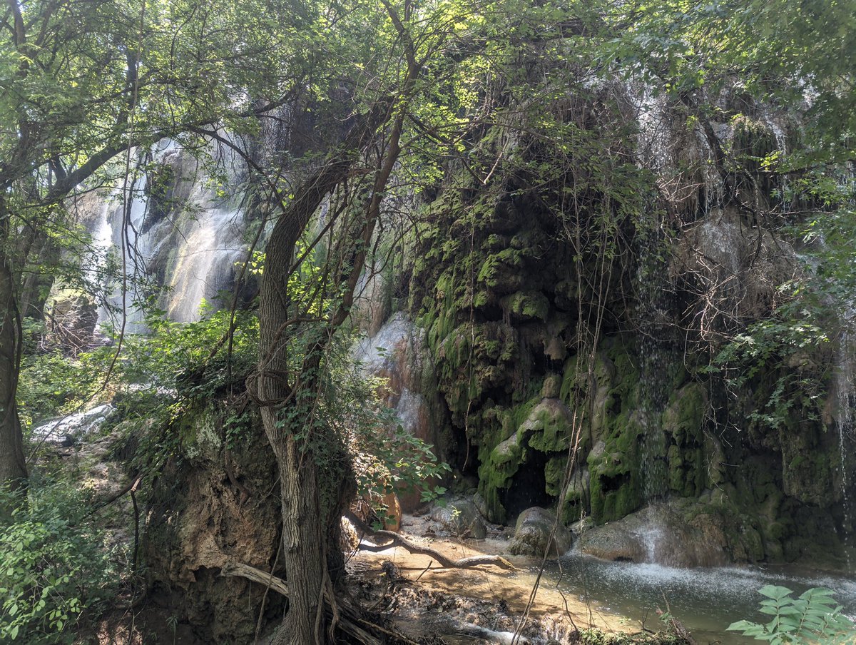 . <a href="/ColoradoBendSP/">ColoradoBendSP</a> My family and I explored this gem of a state park and #hiking adventure to Gorman Falls today - it was amazing! This made my #3 of 4 new-to-me <a href="/TPWDparks/">Texas State Parks</a> goal this year and my #14 Texas state park overall!