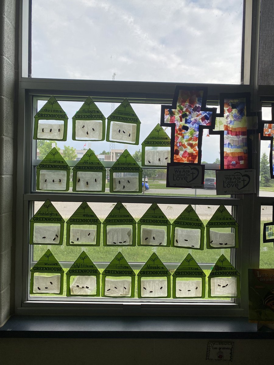 TaraCabral42's tweet photo. 🌱 The Grade 3’s have been busy planting seeds in their greenhouses! They're eagerly watching their little plants grow each day. 🌿 Exciting times as we learn about nature and nurture our green thumbs! 🌻 #GreenhouseProject #GrowingTogether #FutureGardeners https://t.co/9ioqkxKRHE