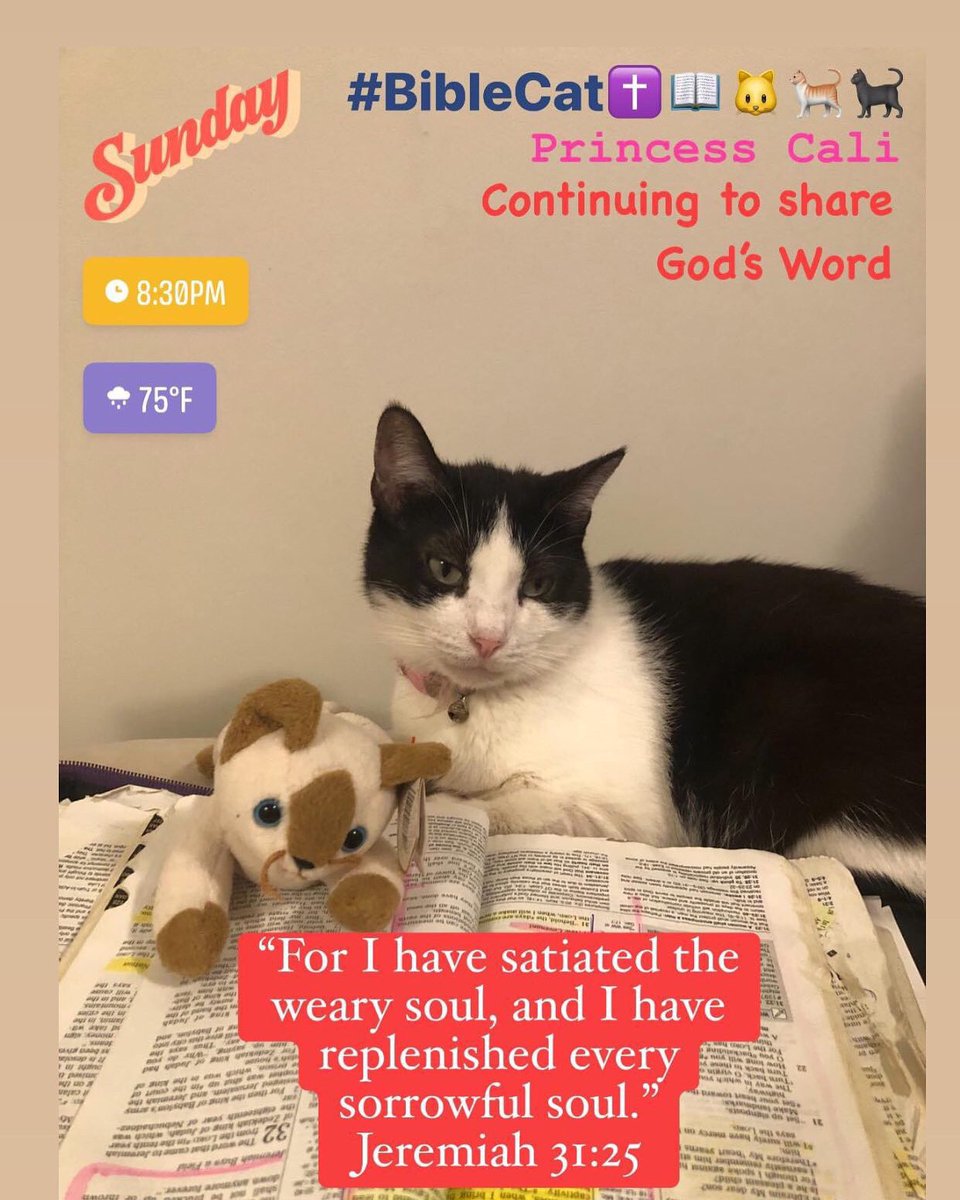 BibleCat✝️📖🐱🐈
#BibleCat
#JesusLovesYou