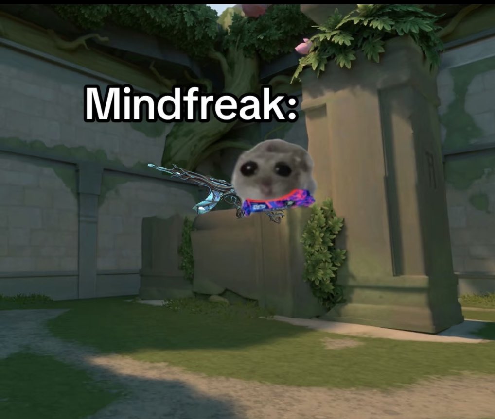 มัมดูคิส😘 tweet media