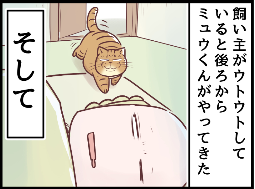 飼い主はおちおち寝てられない!?

https://t.co/gxwb7aJ7Ceからまだ未公開の最新話を読むことができます!  #ニャンコ #まんが #猫 #猫あるある #猫漫画 #ペット #飼い主 #エッセイ漫画 #キャット #猫のいる暮らし 