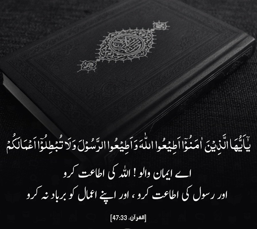 Aslam o alikum
Good morning🌞
X Family🥰
Allah bless you always be happy.