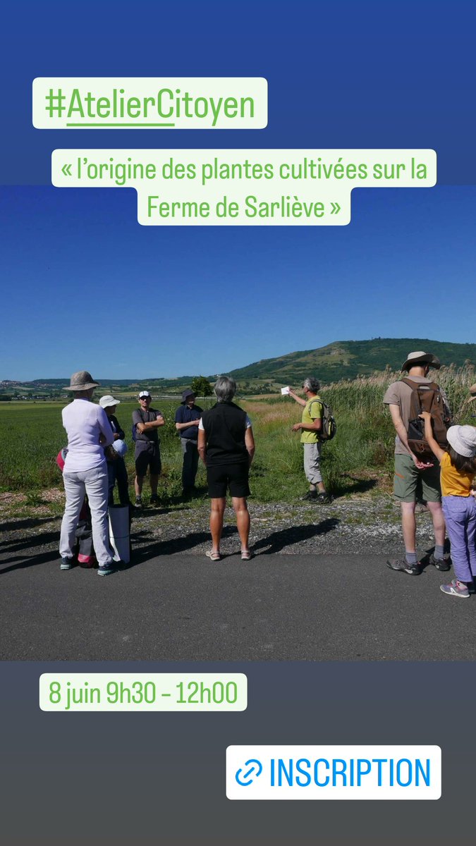 LeRoseau63's tweet photo. 🌾🥕🍓Céréales,légumes divers (mais qu’est-ce qu’un « légume »), arbres fruitiers, sont autant de plantes nourricières que l’on trouve sur la @FSarlieve et qui nous sont familières puisqu’elles nous nourrissent au quotidien.
Et pourtant, ces plantes n’ont pas toujours été là

1/5 https://t.co/L7rFdtsOvh