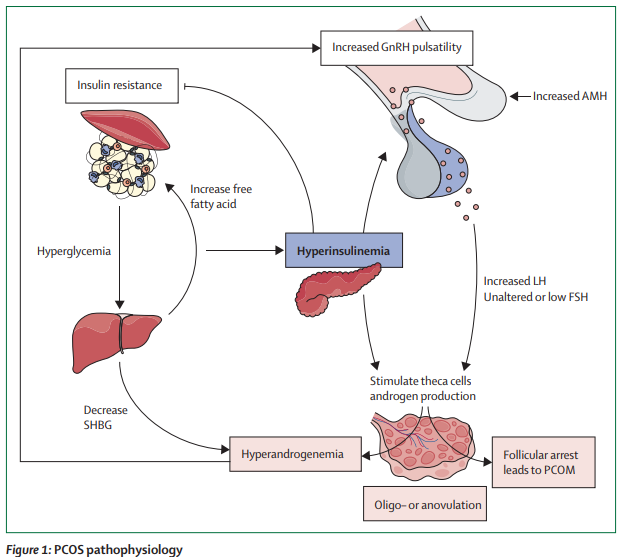 The Lancet Diabetes & Endocrinology tweet media