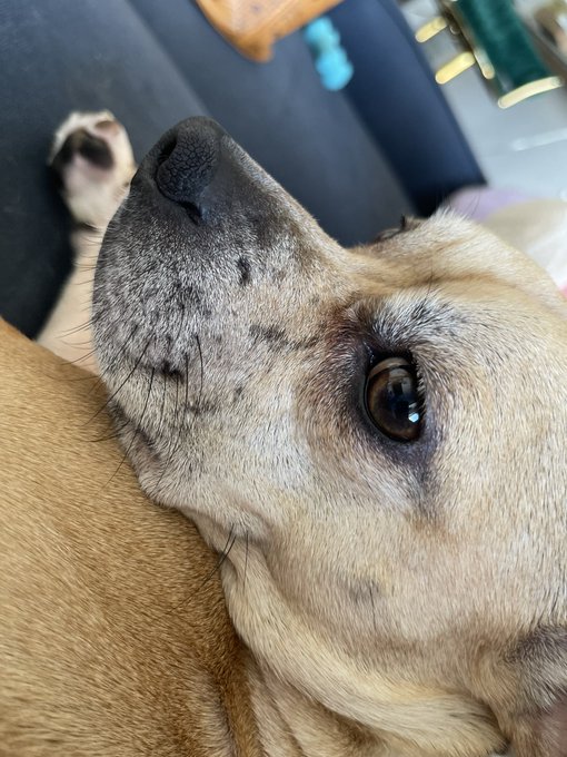 woke up to sunshine, kisses on my forehead, eggs &amp; bacon, now I&rsquo;m gonna go play with my plants 🌱🌈  I&rsquo;ll