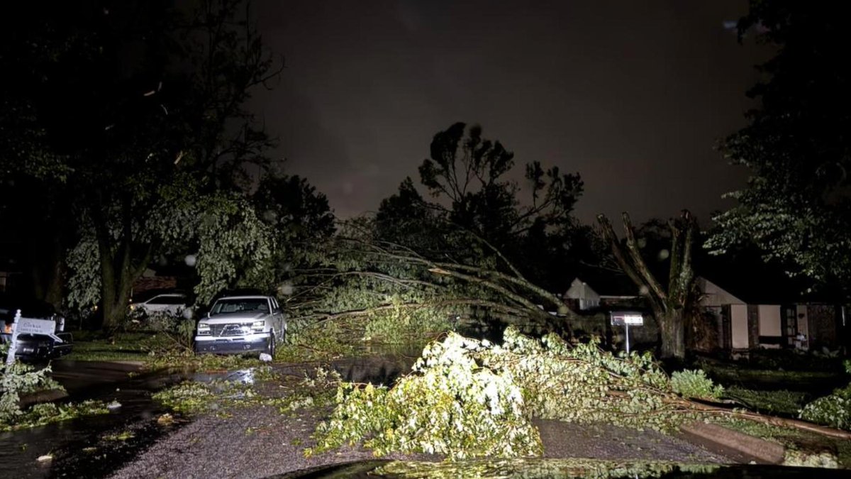 Alexandratweets's tweet photo. Tornado damage is widespread in Benton County. Trees and powerlines down, businesses ripped apart, homes and cars damaged. We'll have the latest for you tonight on-air and on https://t.co/l0d7234Lfz. Grateful to our incredible weather team for keeping everyone informed overnight. https://t.co/8rfQuVcglr