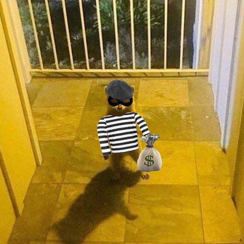DegenSoulReaper's tweet photo. @mrpunkdoteth $RIKI IS DA BEST MEME

TEAM STAY GRINDING,WE SENDING TO RIKILLIONS AND BEYOND🚀
@RikiRacoonsol 
Ca

Aj9MJ2AoX1AH3iGhPcrYwPMPjcJyRNo95am36bj3nh6U https://t.co/zz1ILmbYl3
