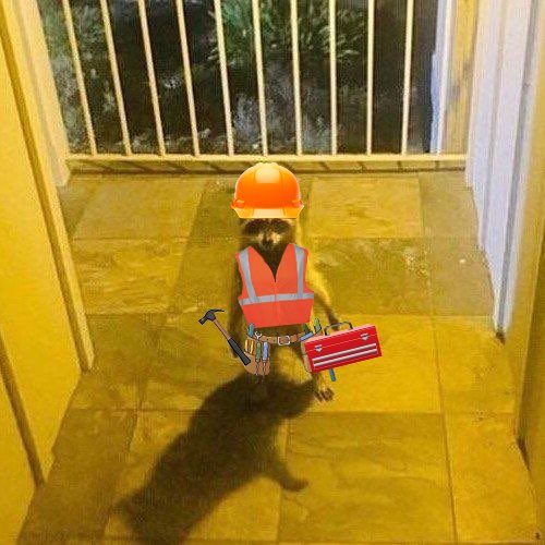 DegenSoulReaper's tweet photo. @mrpunkdoteth $RIKI IS DA BEST MEME

TEAM STAY GRINDING,WE SENDING TO RIKILLIONS AND BEYOND🚀
@RikiRacoonsol 
Ca

Aj9MJ2AoX1AH3iGhPcrYwPMPjcJyRNo95am36bj3nh6U https://t.co/zz1ILmbYl3