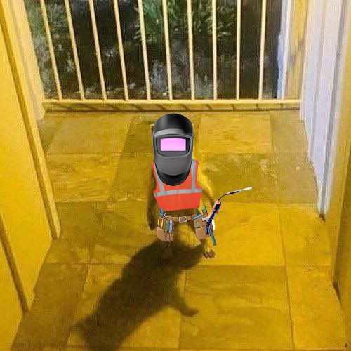 DegenSoulReaper's tweet photo. @mrpunkdoteth $RIKI IS DA BEST MEME

TEAM STAY GRINDING,WE SENDING TO RIKILLIONS AND BEYOND🚀
@RikiRacoonsol 
Ca

Aj9MJ2AoX1AH3iGhPcrYwPMPjcJyRNo95am36bj3nh6U https://t.co/zz1ILmbYl3