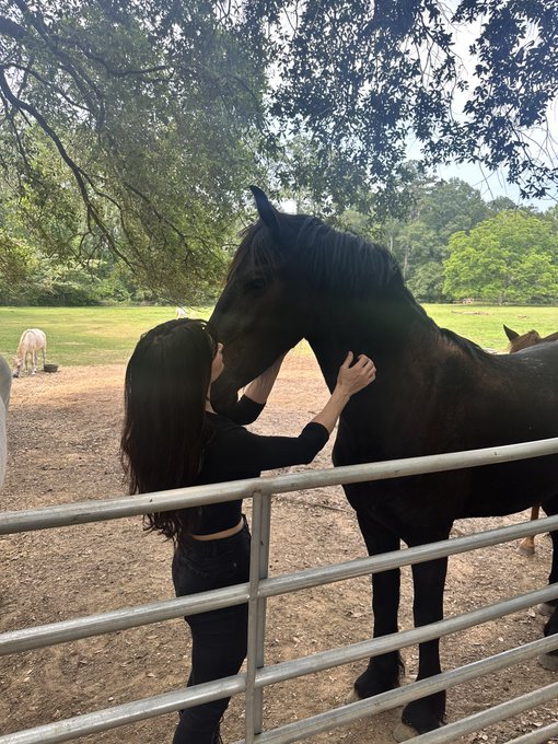 Horse stream at my mommas :D  https://t.co/oHQbLm3wTi https://t.co/eRGbFSJwGW