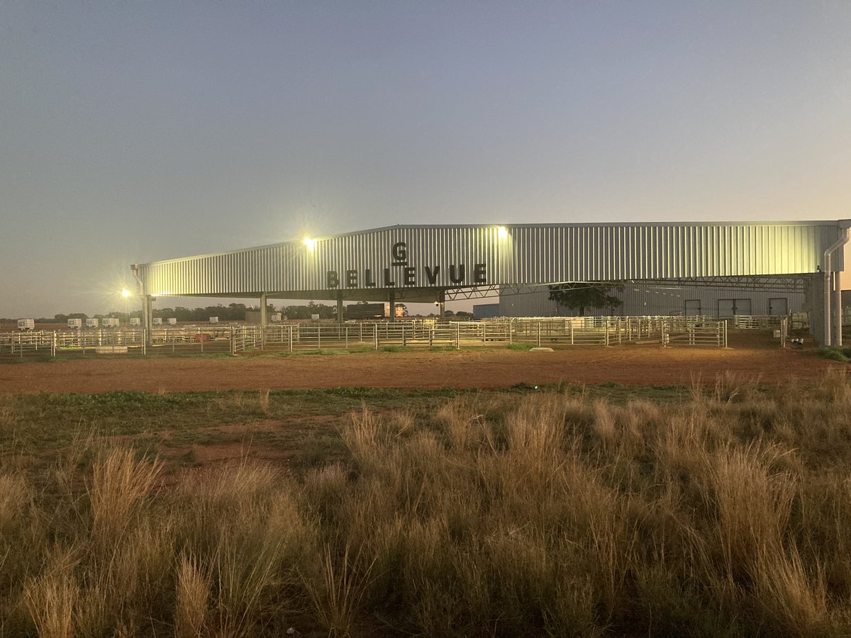 David Greig tweet media