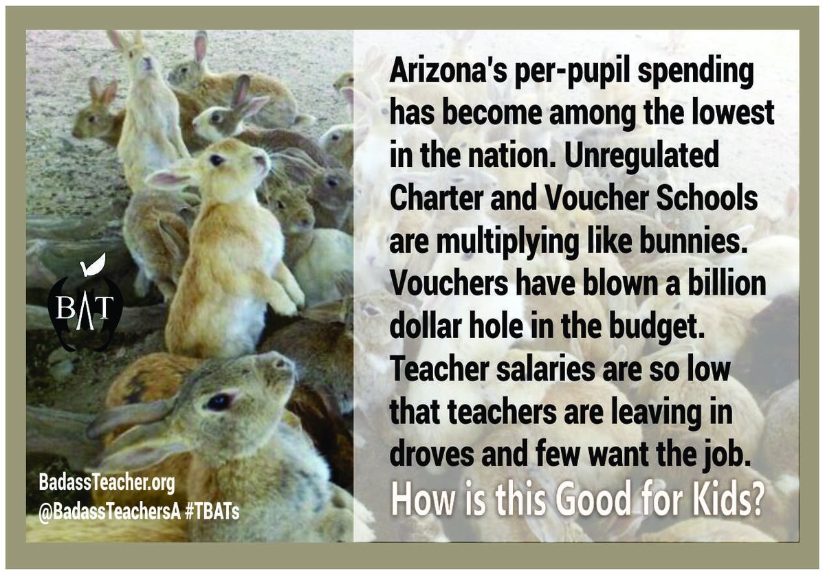NancyOsborne180's tweet photo. It's not good for kids, teachers, families or taxpayers. It's public money into private pockets w/ no regard to outcome. Which by the way, is dismal. Test scores are cratering. #StopVouchers #SayNoToCharters #SupportPublicSchools #TBATs @carolburris @NPEaction @pastors4txkids https://t.co/7X8CQBNfpG