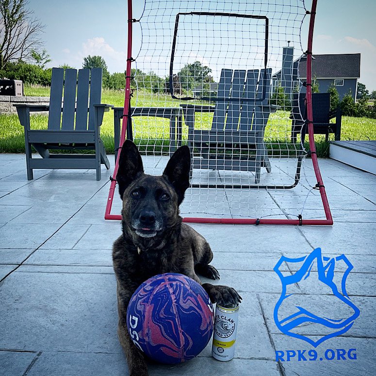 k9_retired's tweet photo. Holiday weekend!! No laws when drinking Claws ! Retired K9 Darwin, knows what’s up ! 🌞
@dutchdarwin 
•
𝗥𝗲𝘁𝗶𝗿𝗲𝗱 𝗣𝗼𝗹𝗶𝗰𝗲 𝗖𝗮𝗻𝗶𝗻𝗲 𝗙𝗼𝘂𝗻𝗱𝗮𝘁𝗶𝗼𝗻 is a 501(c)3 not-for-profit organization providing no cost veterinary care and food for police and military canines nationwide 🐾
⚫️⚫️🔵🔵🔵⚫️⚫️
🚨More info here ⬇️🚨
https://t.co/80273Huc1f
•
•
🚨Florida Care for Retired Dogs ⬇️🚨
https://t.co/lZ6SMXIh2b
•
•
🚨Donate Here ⬇️🚨
https://t.co/krDORuOCaV
•
•
🚨Buy 🐕 swag here ⬇️🚨

https://t.co/oSeBGYCOBX

#labradorretriver #retiredk9 #nyc #nypd #k9handler #florida #dogs #puppy #policek9 #workingdogs #workingdogsofig
 #retirement 
#dogoftheday #americankennelclub  #firstresponder #newyork  #floridaliving 
#policek9magazine #k9copmagazine #militaryworkingdog
#policedog #workingdogmagazine #uspcak9
 #policek9training #germanshepherd