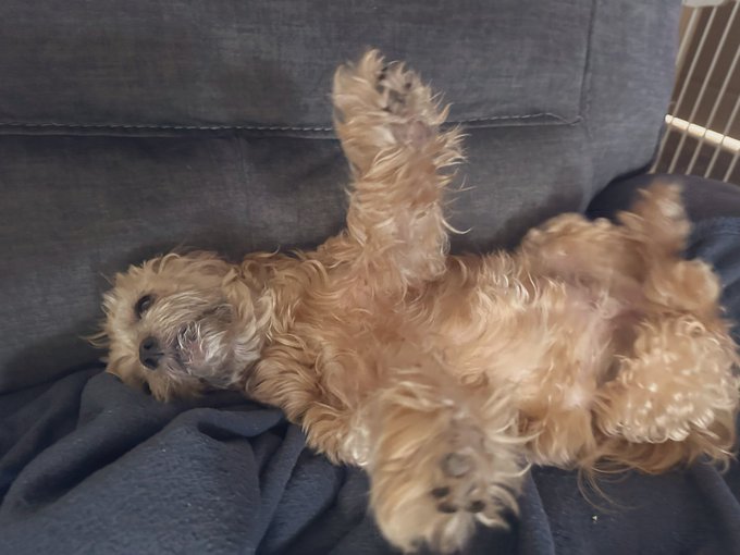 Hug 🤗 😆 and I love you Ewok❤️ https://t.co/n6uH7iRxiP<a href="/tag/happy"class="tags"><span>#happy</span></a><a href="/tag/magic"class="tags"><span>#magic</span></a><a href="/tag/goodfriday"class="tags"><span>#goodfriday</span></a><a href="/tag/stressfree"class="tags"><span>#stressfree</span></a>