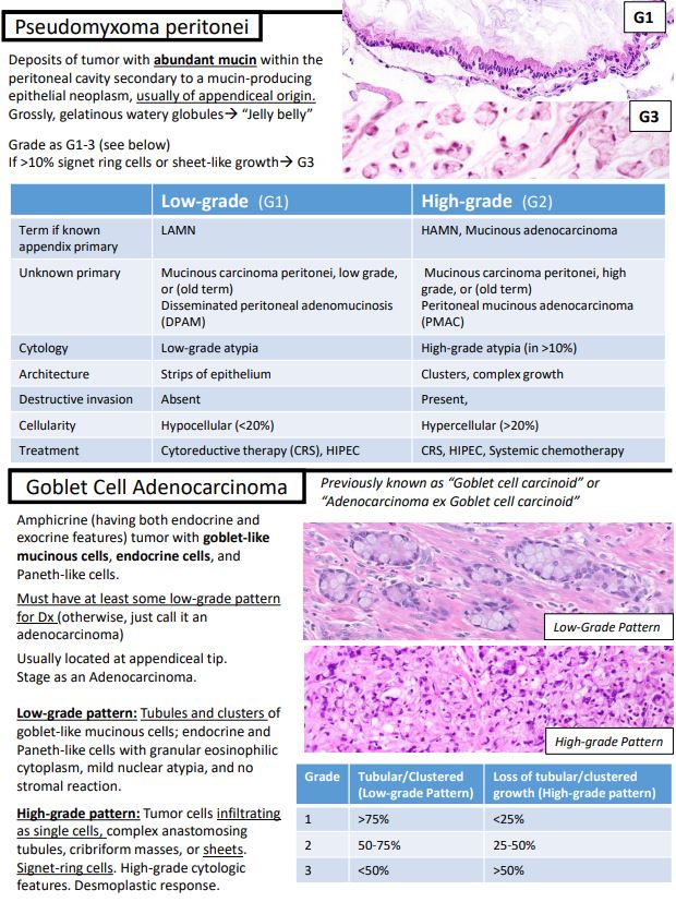 I revised my notes on the Appendix to include more detail and non-tumor conditions for my teaching website, "Kurt's Notes" (kurtsnotes.net).

🪱🪱🪱🪱🪱🪱🪱🪱🪱🪱🪱🪱🪱🪱🪱🪱🪱🪱🪱🪱🪱🪱🪱🪱🪱🪱🪱🪱🪱🪱🪱🪱🪱🪱🪱🪱🪱

Full notes available here: schaberg.faculty.ucdavis.edu/wp-content/upl…