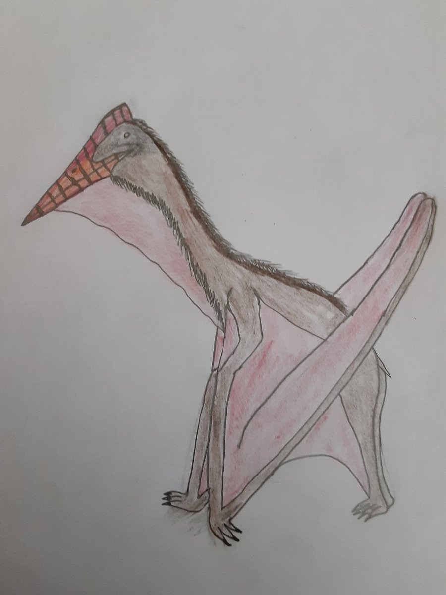 Here are all my drawings of Azhdarchid Pterosaurs, we have Quetzalcoatlus Northropi, Quetzalcoatlus Lawsoni,  Hatzegopteryx Thambema and Thanatosdrakon Amaru