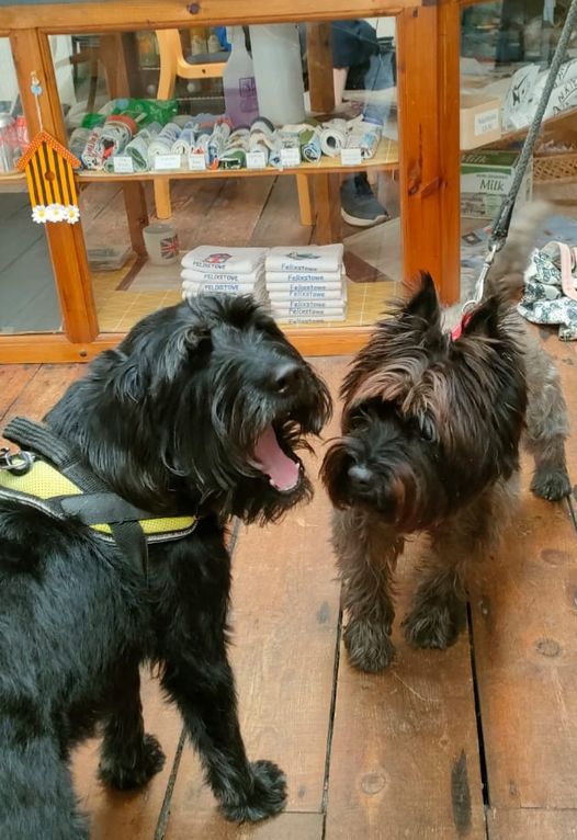 Felixstowe Museum (@felixstowemus) on Twitter photo <a href="/FelixstoweMus/">Felixstowe Museum</a> & The Beehive Café are dog friendly. If you're coming to visit, the whole family are welcome. <a href="/Suffolk_Sound/">Suffolk Sound Radio</a> <a href="/FreshGoldRadio/">Fresh Gold Radio</a> <a href="/felixstoweradio/">Felixstowe Radio</a> <a href="/Felixstowe_news/">Felixstowe News</a> <a href="/LauraJLocke/">Laura Locke</a> #Suffolk #Museum #dogfriendly <a href="/FelixstoweMus/">Felixstowe Museum</a> & The Beehive Café are dog friendly. If you're coming to visit, the whole family are welcome. <a href="/Suffolk_Sound/">Suffolk Sound Radio</a> <a href="/FreshGoldRadio/">Fresh Gold Radio</a> <a href="/felixstoweradio/">Felixstowe Radio</a> <a href="/Felixstowe_news/">Felixstowe News</a> <a href="/LauraJLocke/">Laura Locke</a> #Suffolk #Museum #dogfriendly