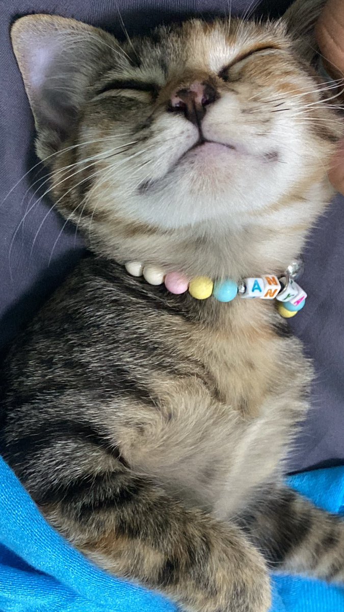 หนูกลับไปเด็กอีกรอบได้มั้ยอาเนีย