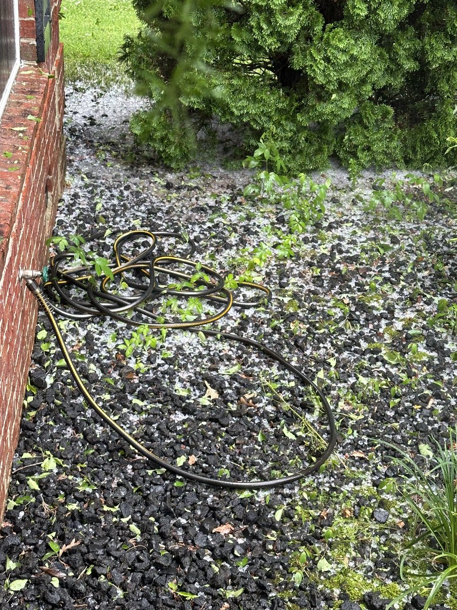 Sperri Arviso tweet media