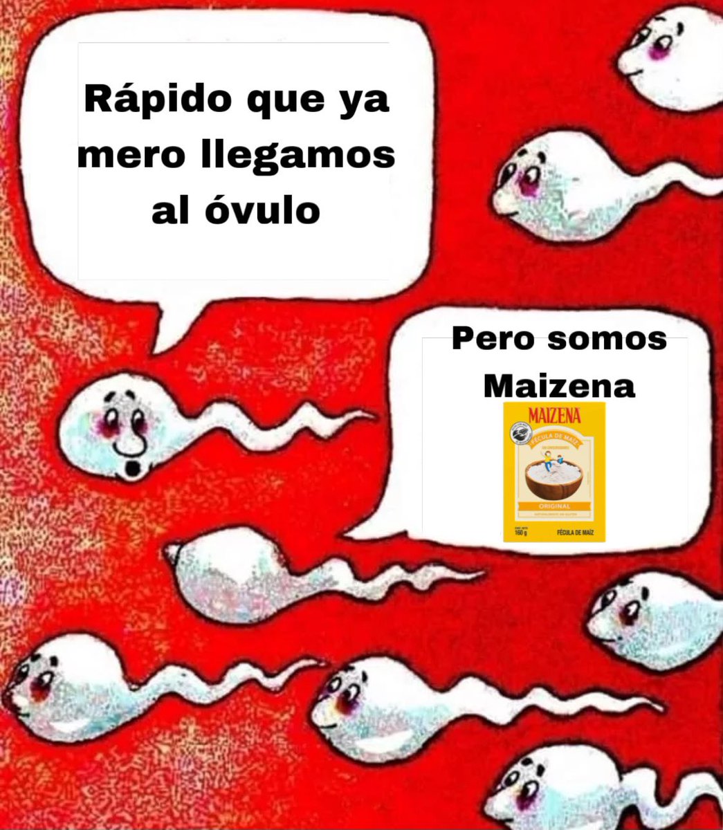 Mientras tanto los espermatozoides de Hypercum después de tanta Maizena 🥴