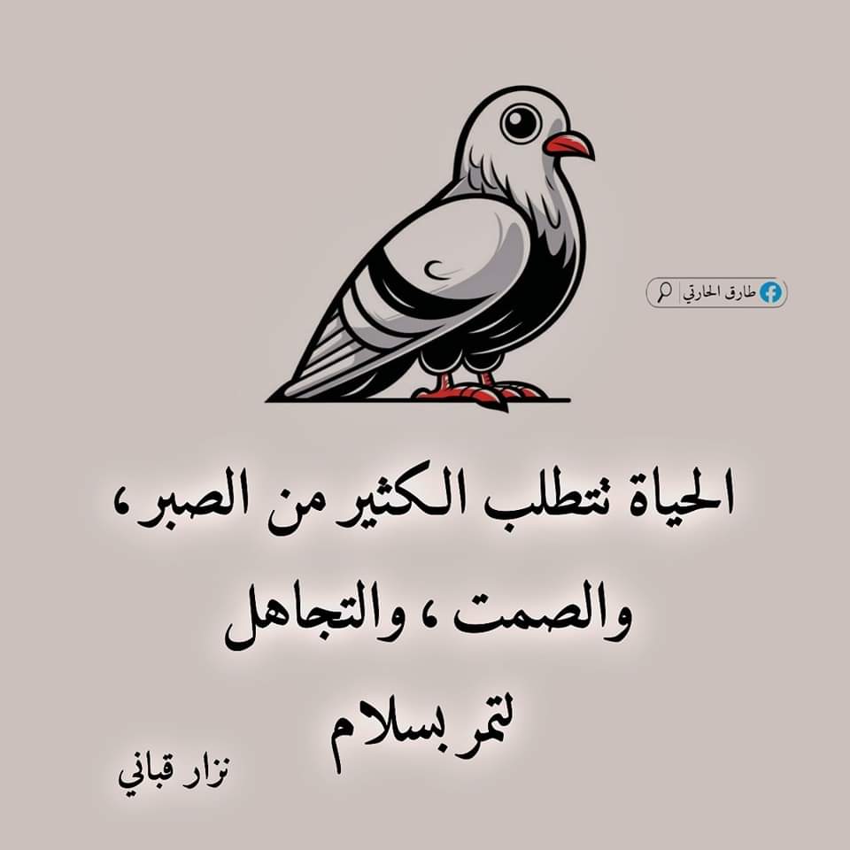 lloo519's tweet photo. الحياة تحتاج الي صبر لكي نستطيع العيش فيها لان الله لم يطرح الراحة في دنيا جعلها في لاخرة الدنيا عبارة عن اختبار فقط من جد وجد ومن زرع حصد 🥺 https://t.co/hKetCErHWa