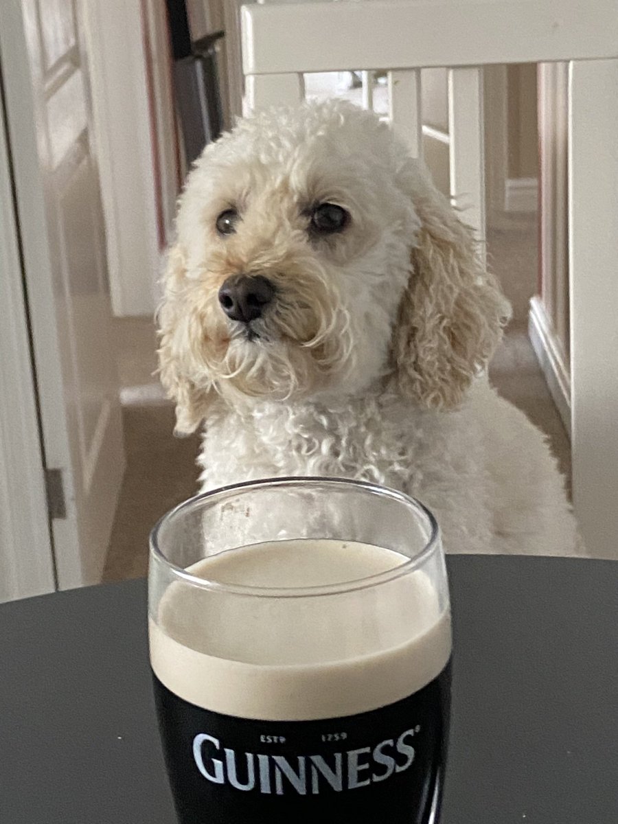 @PublicPriestley She likes her Guinness