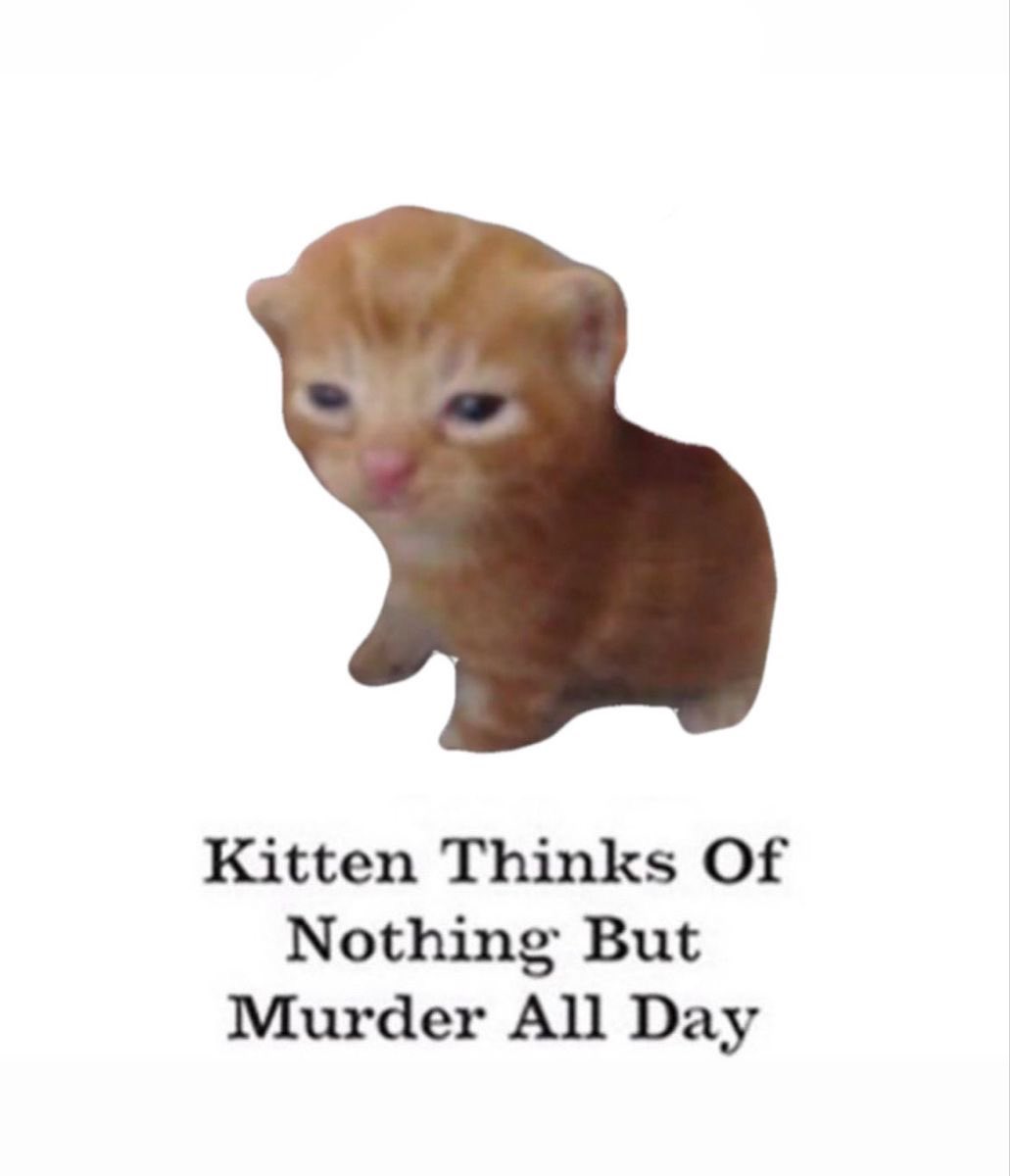 Punch Cat (@punchingcat) on Twitter photo 