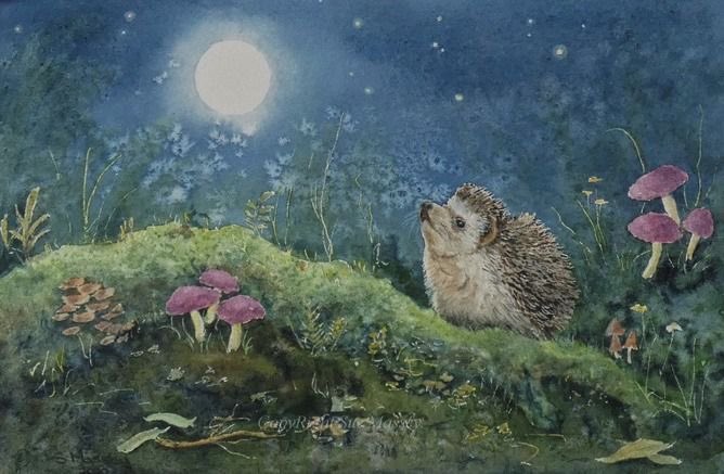 Wishing on a star…I hope you all have a cozy night…sweet dreams, everyone 💕 (art by Erin O’Leary Brown)