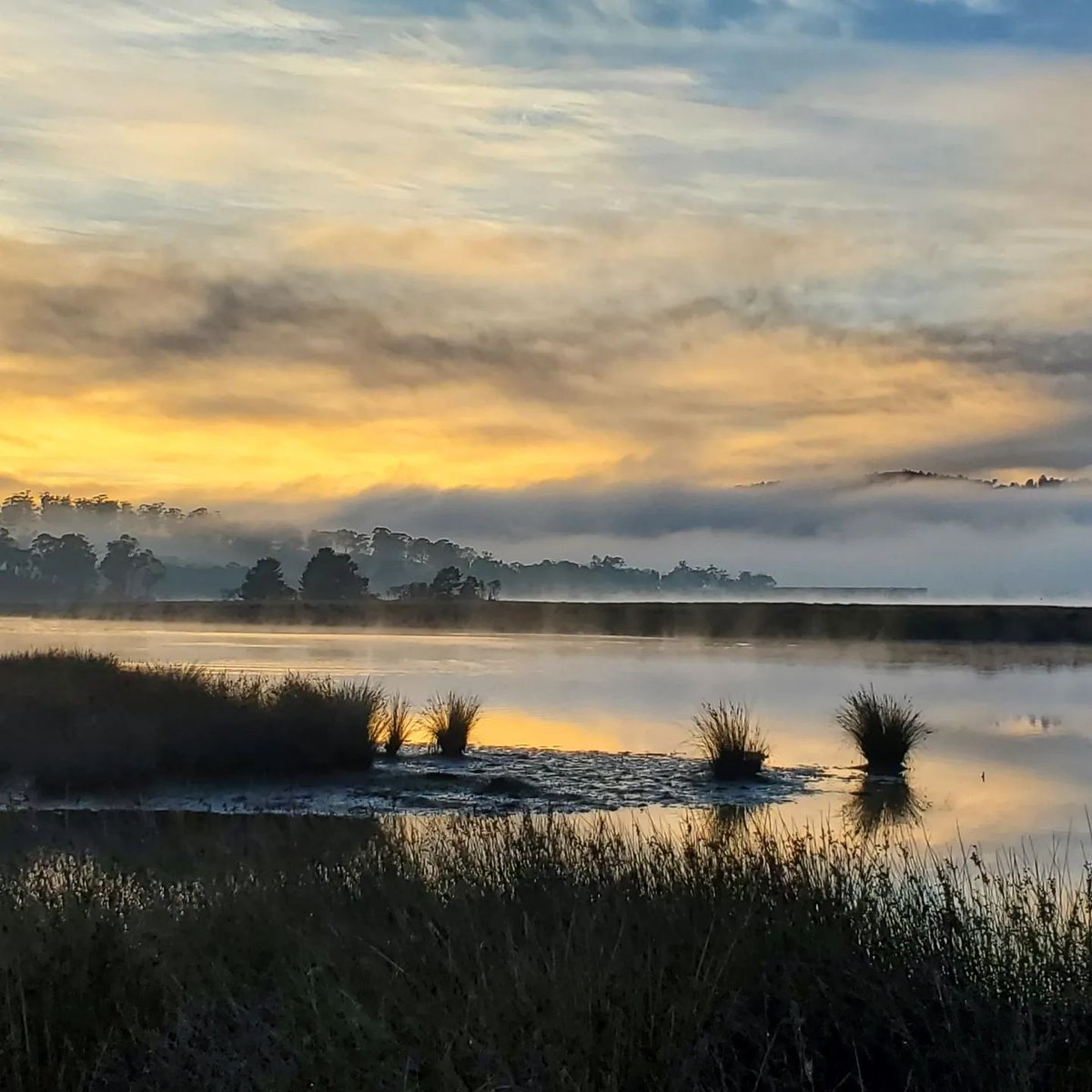 As the weather cools, the southern Tasmanian landscape just becomes more dramatic and beautiful.

bit.ly/huon-valley

📸 Debra - instagram.com/rustyhollowcot…

#tasmaniaaustralia #huonriver #huonvalley #huonvalleytasmania #visithuonvalley #autumntasmania #tassieoffseason