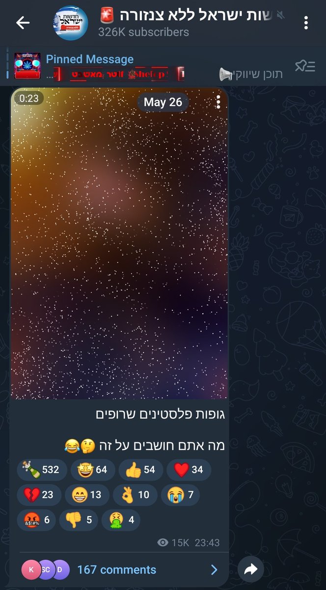 Leading Israeli Telegram news channel called 'Israel News Uncensored' (326k subscribers):
'Burnt Palestinian bodies
What do you think about that 🤔😂'