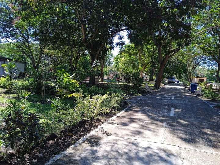 El Parque Granma, fue lugar  emblemático d #Bayamo. En sus extensas áreas se disfrutaba d la naturaleza y otras opciones como paseos a caballo y en  bote, serv. d cafetería, restaurant, zoológico y el parque d recreaciones. #Ahora para dicha  #todos se recupera.
@GobiernoGranma