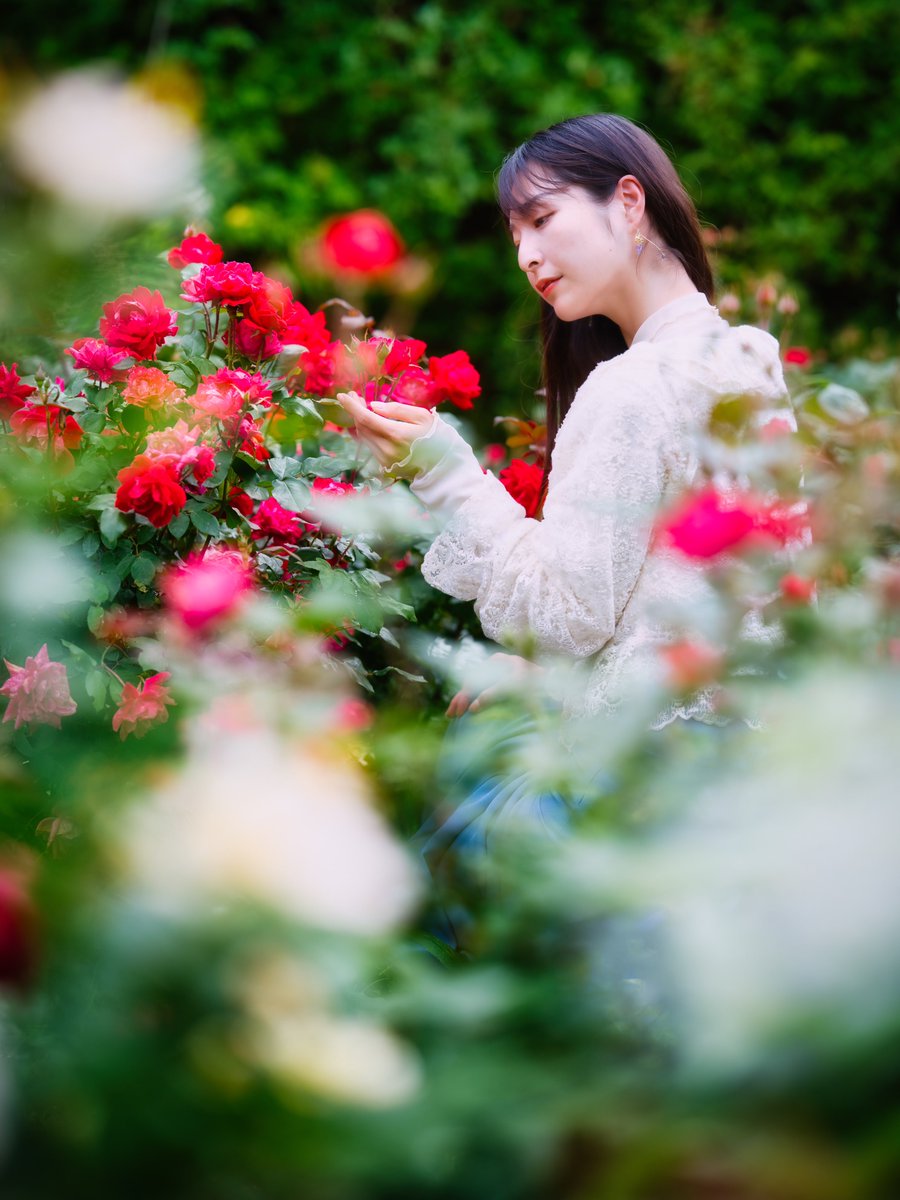 . 　　　 『 秘密の花園 』 . model:水無月いとさん@neruwanemutai . #薔薇 #portrait #photography #fujifilm #GFX100Ⅱ