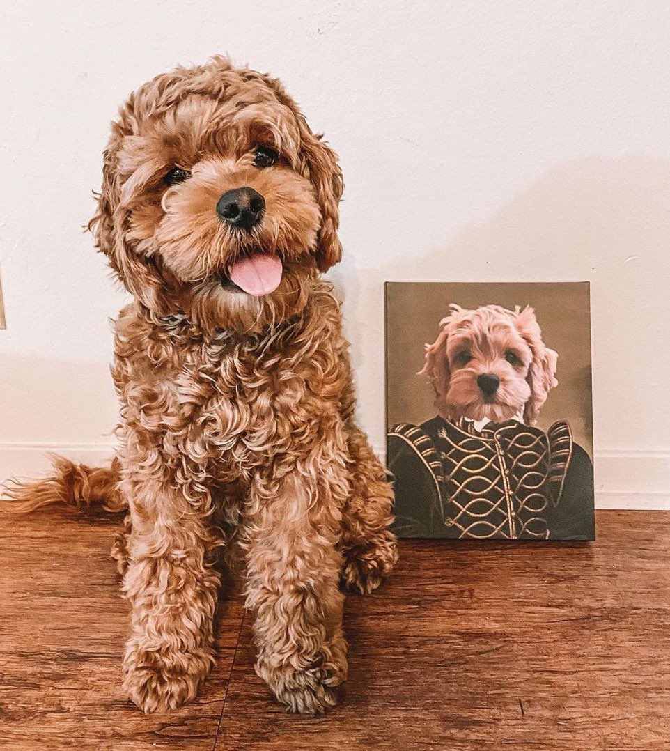 Our hearts are melting over this lovely review featuring our customer's custom portrait of his adorable pup🐶
Use the promo code ✨1STARTTWITTER30✨ during the next 72 hours and get $30 off!
👉Click the link: 1st-art-gallery.com/custom-dog-por…

#1startgallery #customart #personalizedart